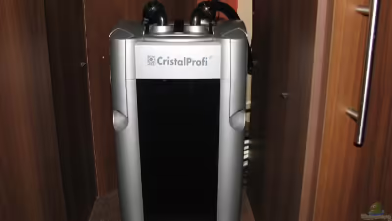 Technik im Aquarium Silence of Westafrica von Bämbel (42)