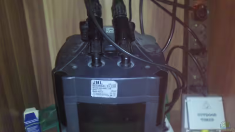 Technik im Aquarium Skalar Bottich von Skalarfreak (13)