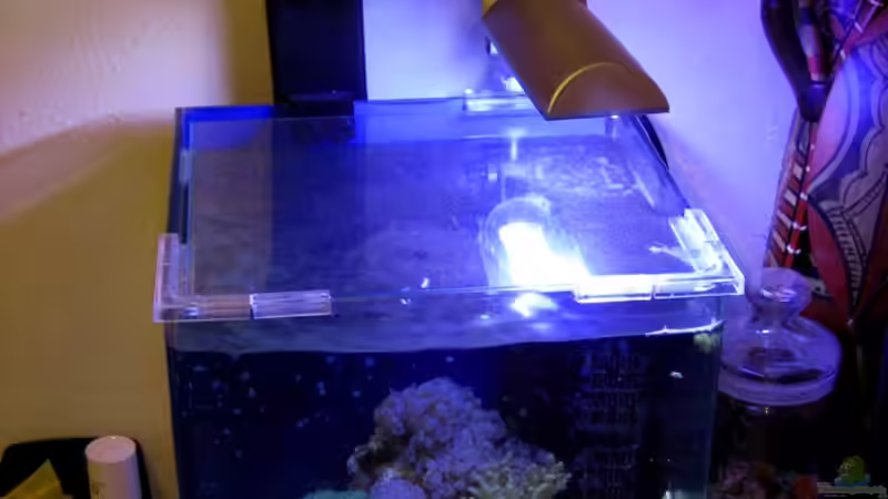 Technik im Aquarium Small Blue reef von Maclya (4)