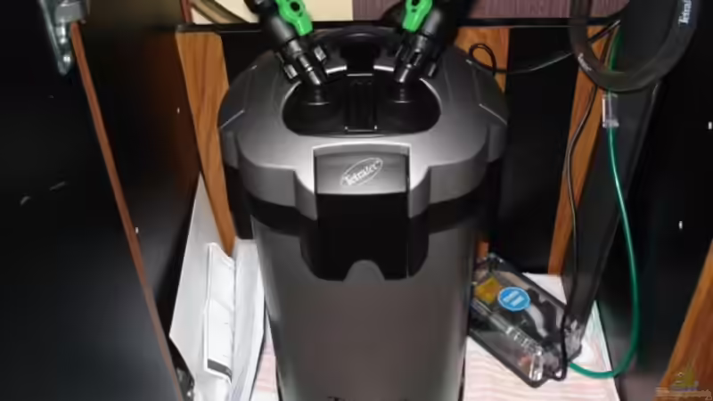 Technik im Aquarium Snake skin Endler Aquarium von Lukas Szewczyk (8)