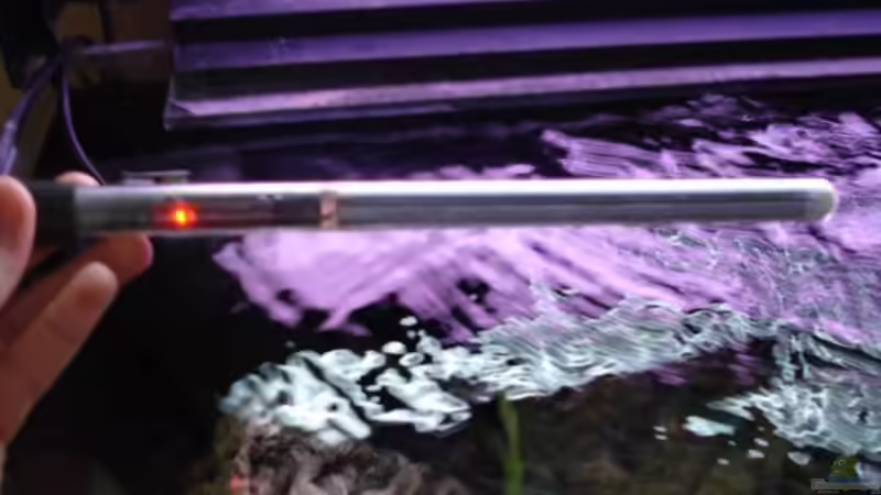 Technik im Aquarium Snake skin Endler Aquarium von Lukas Szewczyk (9)