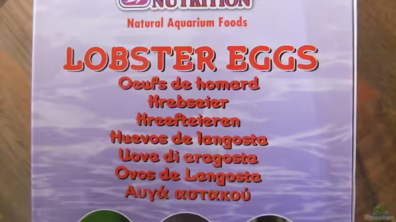 Technik im Aquarium Somewhere....(Nicht mehr aktuell) von axolotl (38)