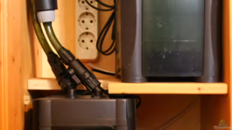 Technik im Aquarium south america - green hell von NlLs M0nt (11)