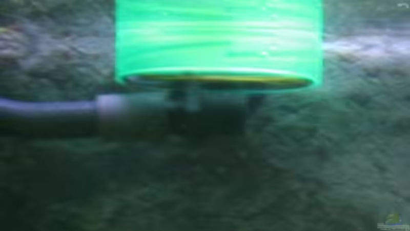 Technik im Aquarium south america - green hell von NlLs M0nt (13)