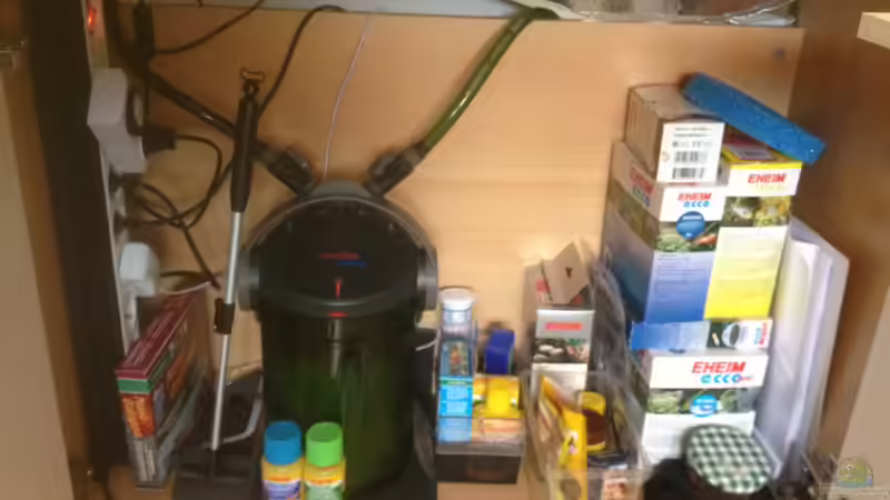 Technik im Aquarium South-America-Landscape von spanky_cruz (19)