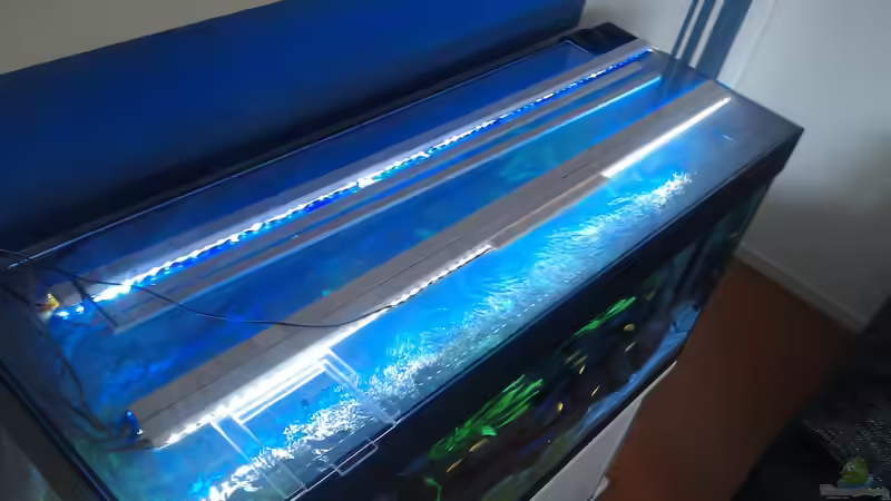 Technik im Aquarium Stone edge von lohmi_5 (11)