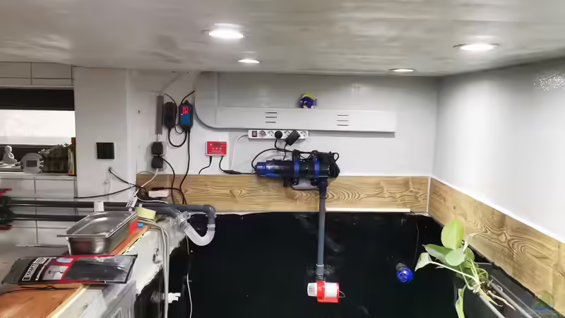 Technik im Aquarium Südamerika 4.0 von Thomas Michel (60)