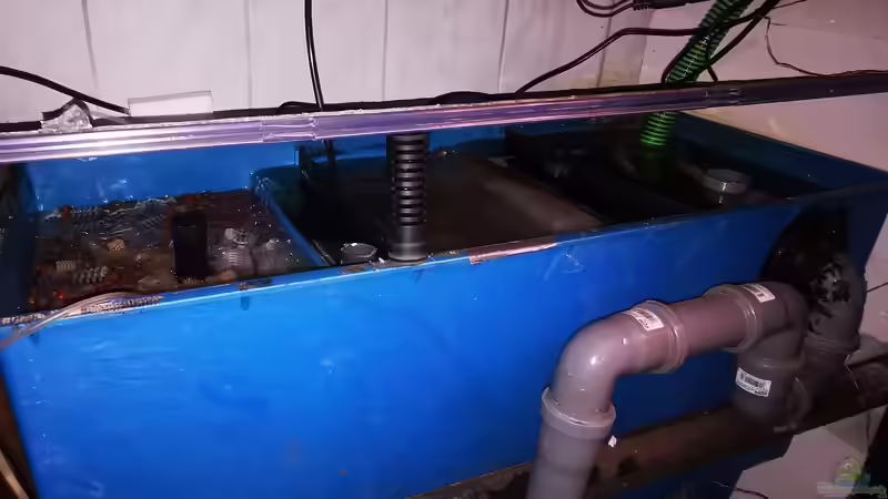 Technik im Aquarium Südamerika 4.0 von Thomas Michel (63)