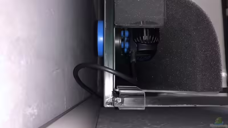 Technik im Aquarium Südamerika Biotop von K.S. (10)