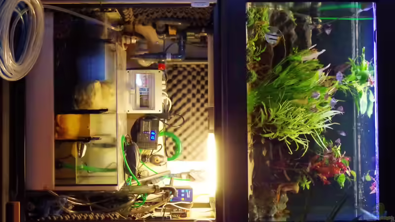 Technik im Aquarium Südamerika Gesellschaftsbecken 31372 von Dahoimbocha (12)