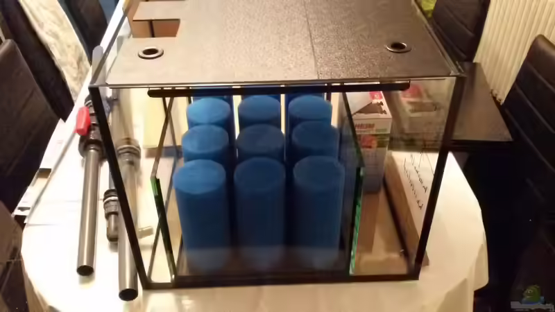 Technik im Aquarium Südamerika Traum von Discus (10)