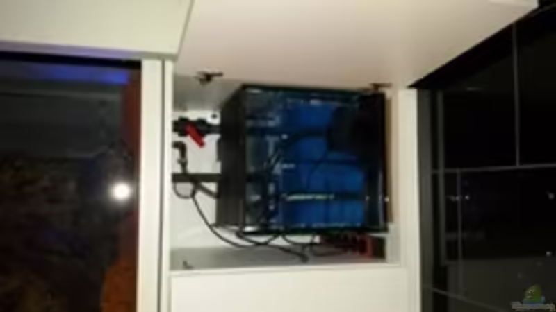 Technik im Aquarium Südamerika Traum von Discus (11)