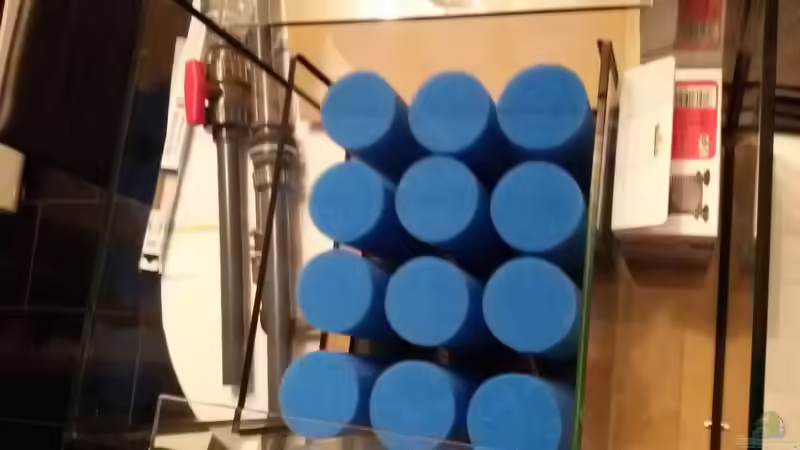 Technik im Aquarium Südamerika Traum von Discus (12)