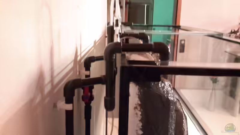 Technik im Aquarium Südamerika von brokhauser (29)