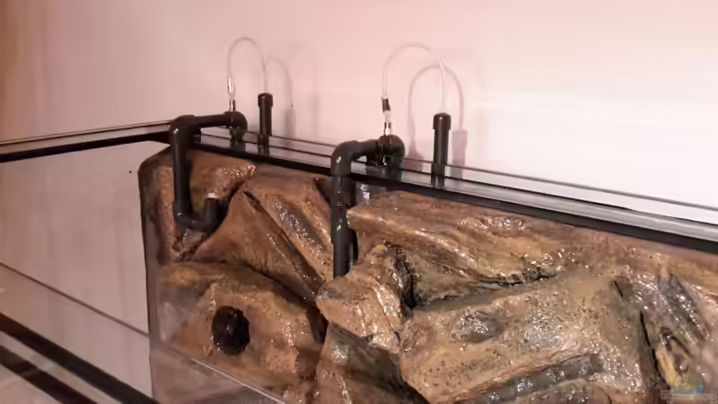 Technik im Aquarium Südamerika von brokhauser (31)