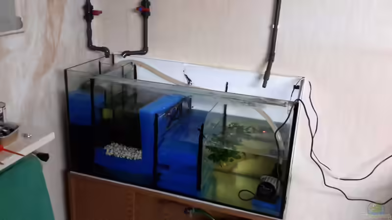 Technik im Aquarium Südamerika von brokhauser (33)