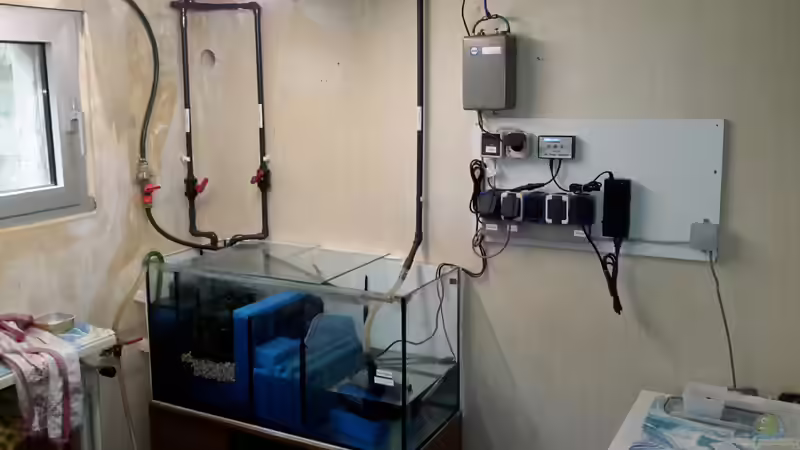 Technik im Aquarium Südamerika von brokhauser (36)