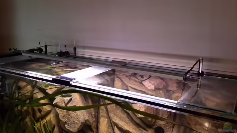 Technik im Aquarium Südamerika von brokhauser (38)