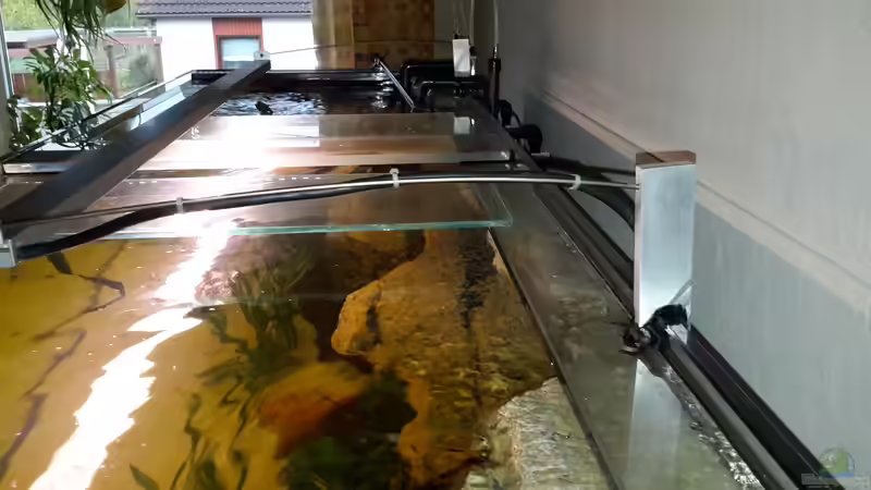 Technik im Aquarium Südamerika von brokhauser (41)