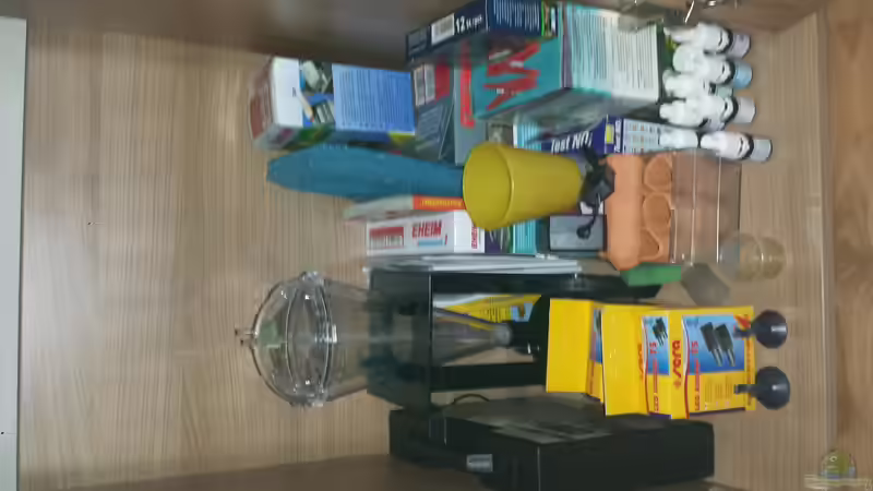 Technik im Aquarium Südamerika Zebra Gesellschaftsbeken von Fischflüsterer (11)