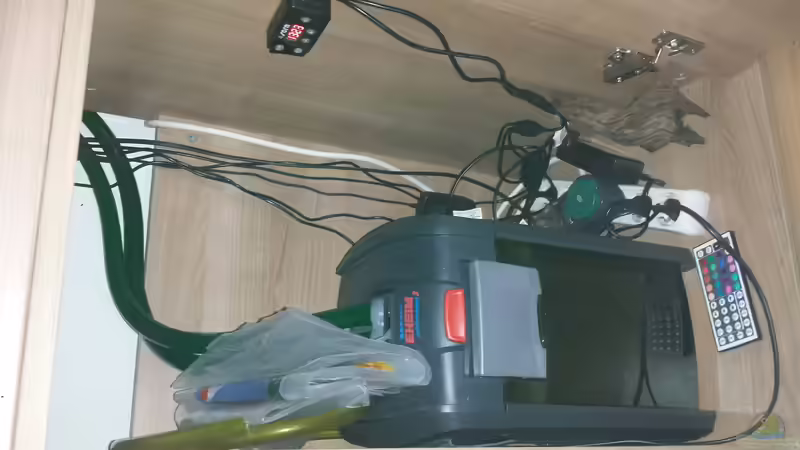 Technik im Aquarium Südamerika Zebra Gesellschaftsbeken von Fischflüsterer (8)