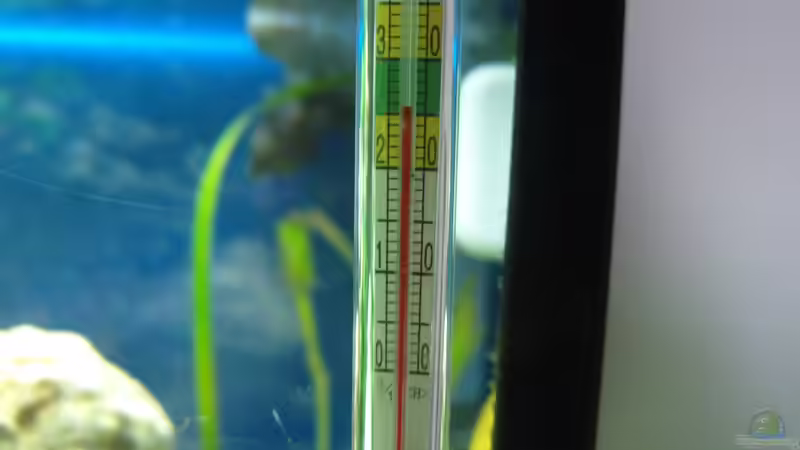 Technik im Aquarium Tanganjika 200L von Benjamin Heinemeyer (7)