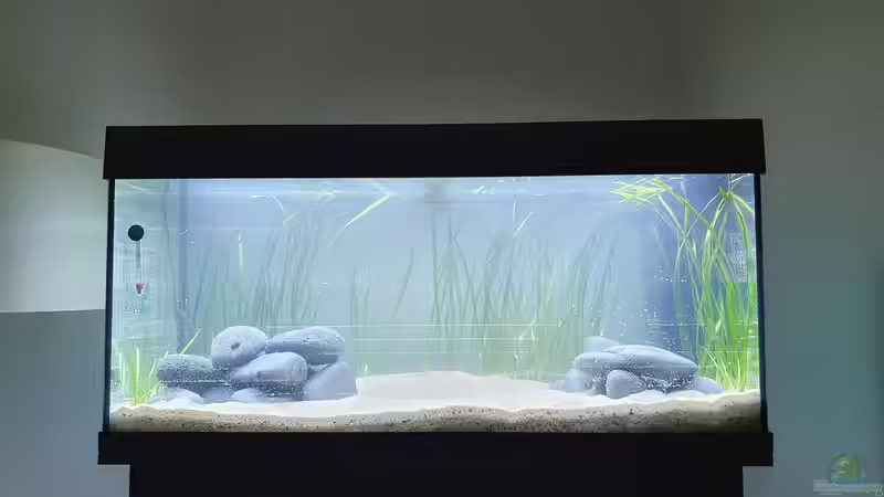 Technik im Aquarium Tanganjika Biotop von Matt Bros (9)