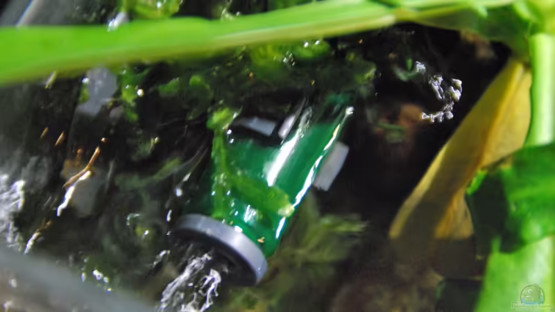 Technik im Aquarium tercera conca von lomarraco (101)