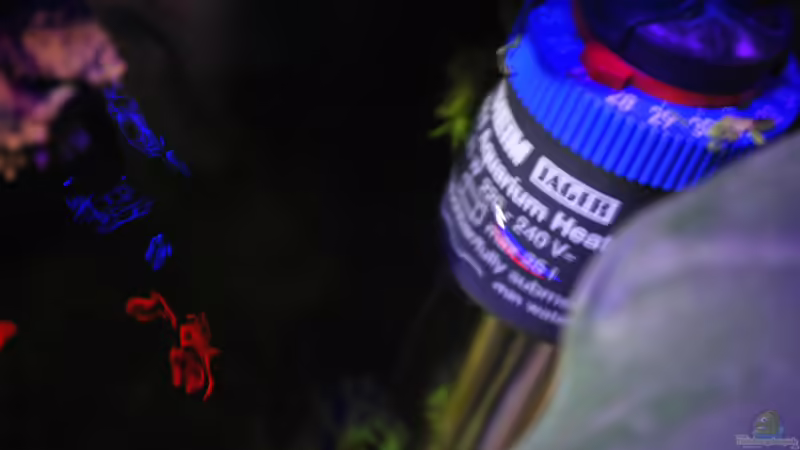 Technik im Aquarium tercera conca von lomarraco (103)