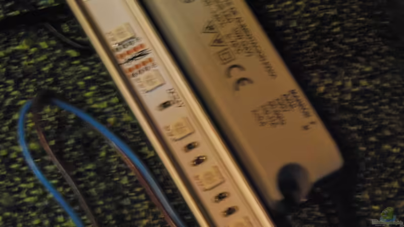 Technik im Aquarium tercera conca von lomarraco (107)