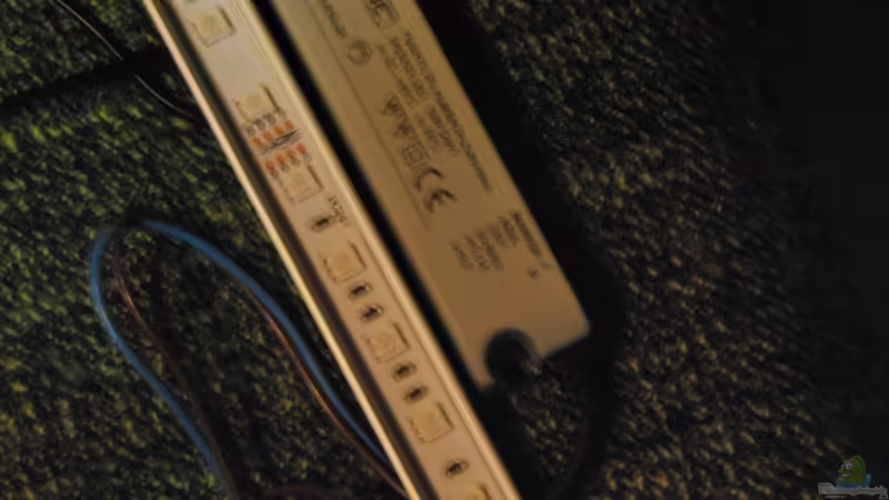 Technik im Aquarium tercera conca von lomarraco (108)