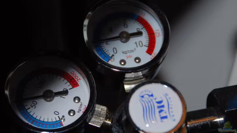 Technik im Aquarium tercera conca von lomarraco (91)