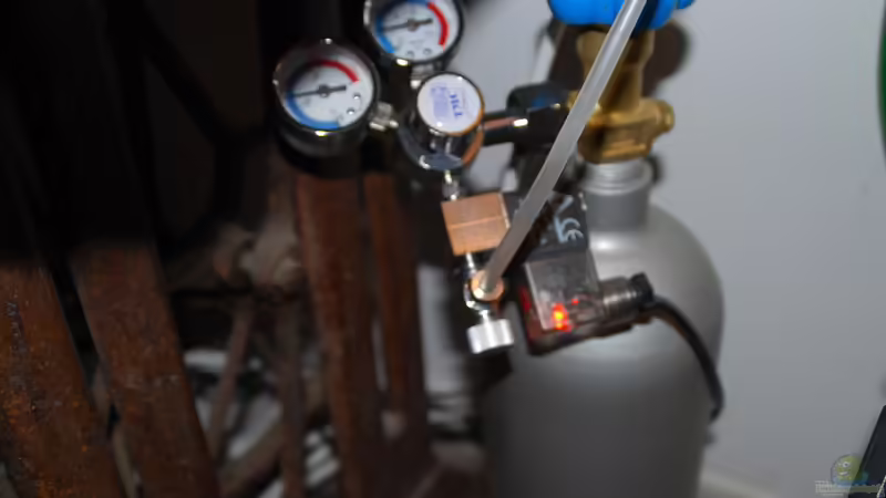 Technik im Aquarium tercera conca von lomarraco (93)