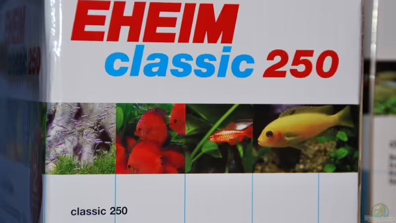 Technik im Aquarium tercera conca von lomarraco (94)