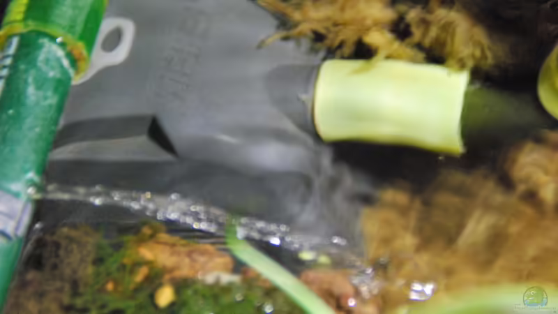 Technik im Aquarium tercera conca von lomarraco (97)