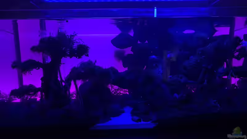 Technik im Aquarium The Bridge von Matze3110 (14)