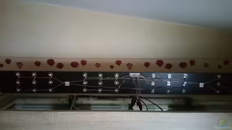 Technik im Aquarium The Diy von Lucky3310 (27)