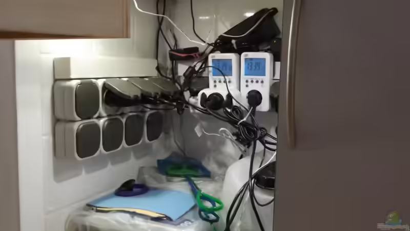 Technik im Aquarium The green Dream von Guppy62 (25)