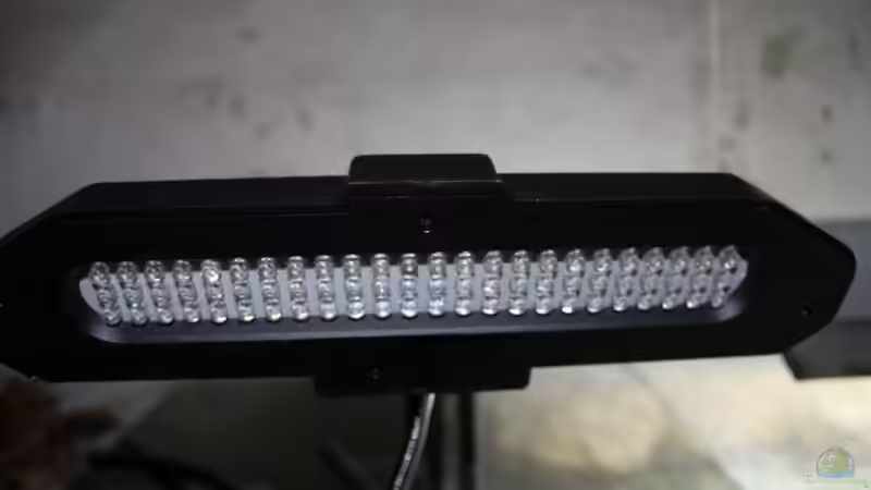 Technik im Aquarium The Old Tree-Asia Impressions von Falk (13)