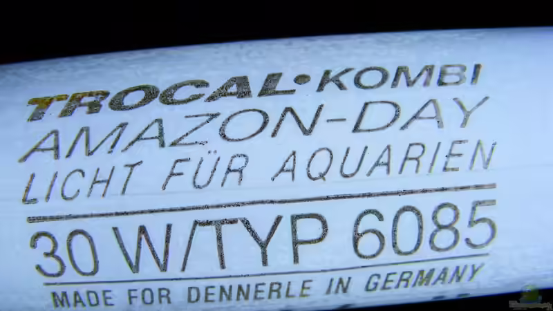 Technik im Aquarium The Paths of Kulander-The North of South Amerika ( von Falk (23)