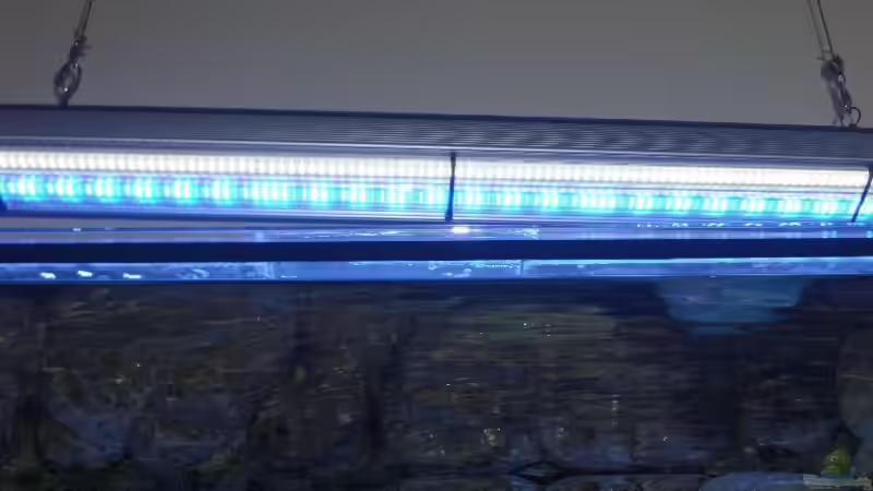 Technik im Aquarium Thommys Malawiwelt von Malawi TOM (29)