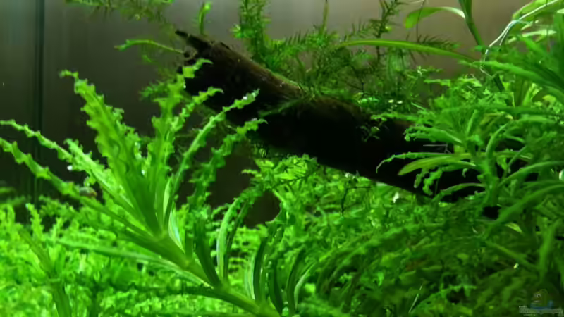 Technik im Aquarium Toni-Nano-style (// ^) von Tonistyle69 (6)