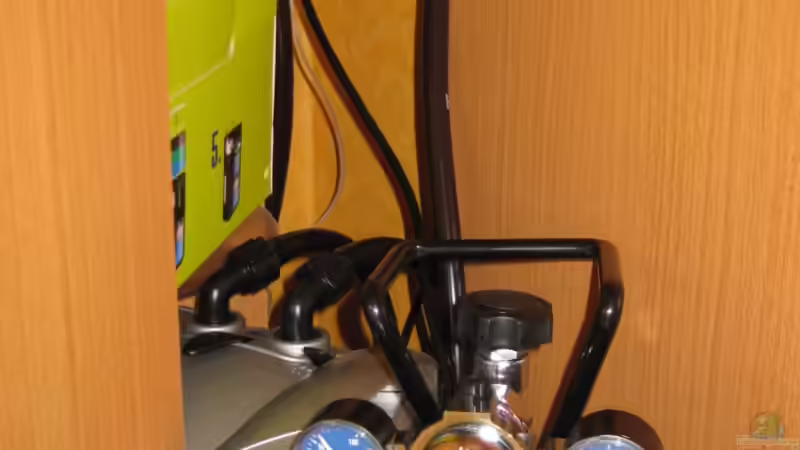 Technik im Aquarium Trigon 190 von chaossepsy (9)