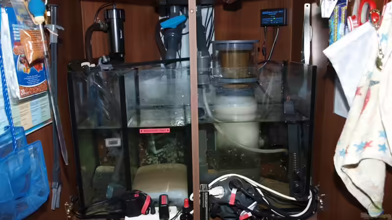 Technik im Aquarium Trigon 350 von Christian Holtkamp (22)