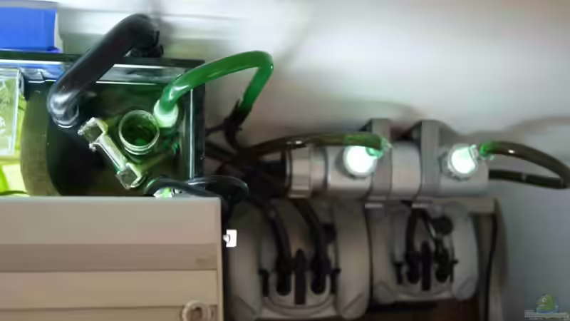 Technik im Aquarium Tropheus Becken 2011 von Robin H. (6)