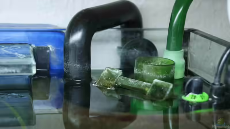 Technik im Aquarium Tropheus Becken 2011 von Robin H. (7)