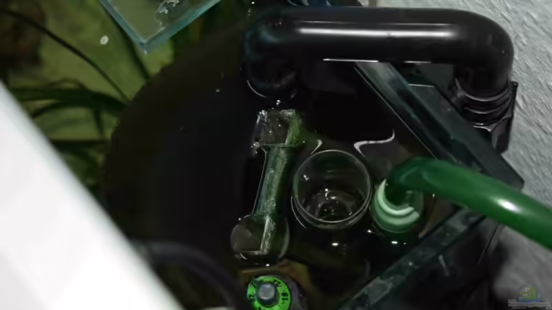 Technik im Aquarium Tropheus Becken 2011 von Robin H. (8)