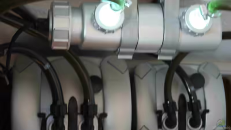 Technik im Aquarium Tropheus Becken 2011 von Robin H. (9)