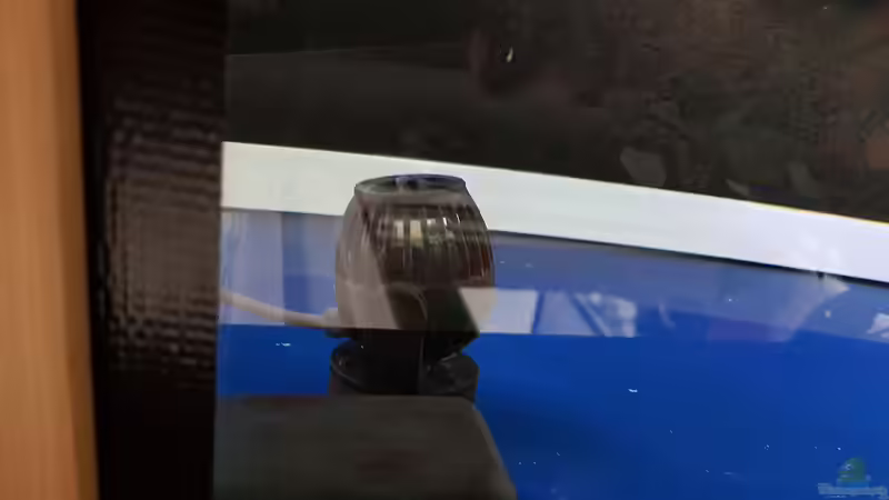 Technik im Aquarium Tropheus bulu point von Riftvalley88 (7)