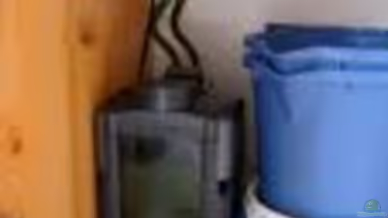 Technik im Aquarium Tropheus-Gesellschaft von Bbert (9)